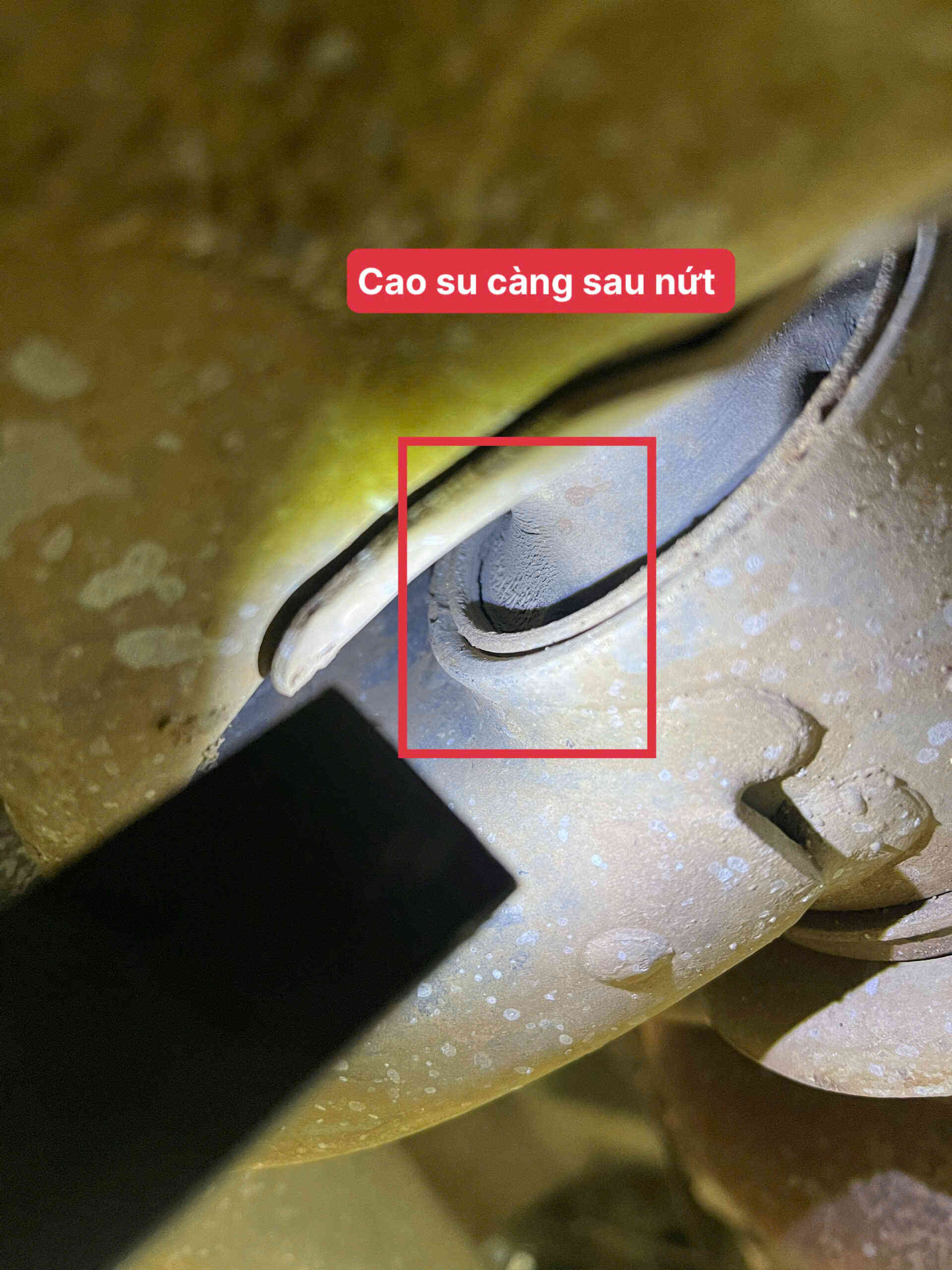 Nguyên nhân gây ra tiếng kêu lớn dưới gầm xe Kia Rio: