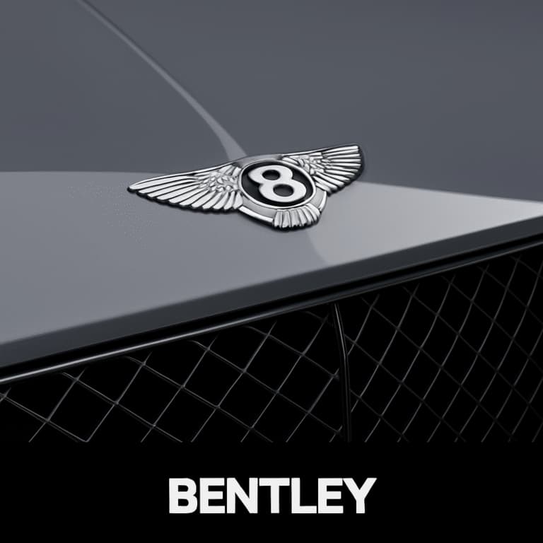 GIỚI THIỆU 46 sửa chữa và bảo dưỡng bentley
