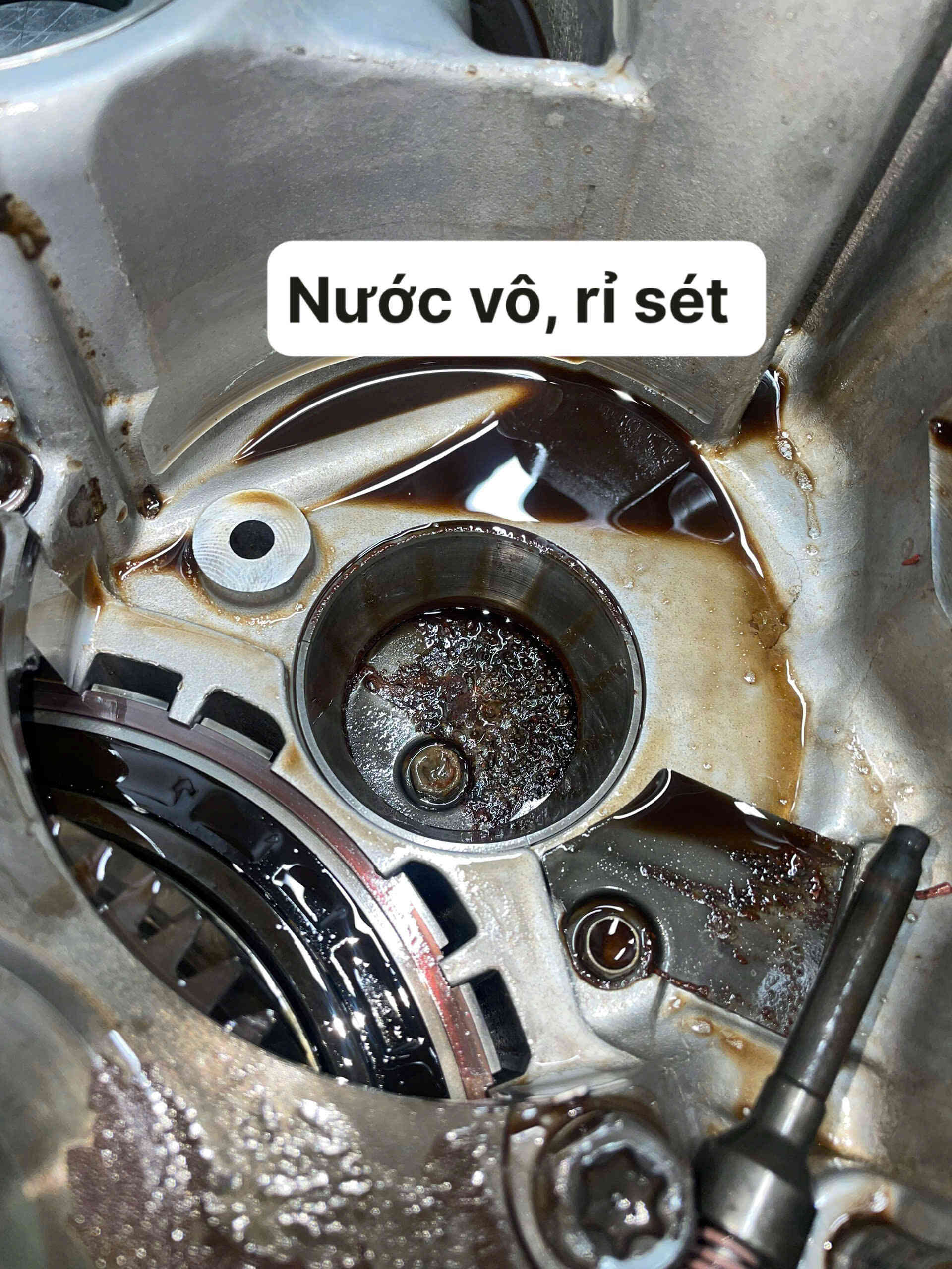 Cập nhật phần mềm hoặc thay thế ECU hộp số