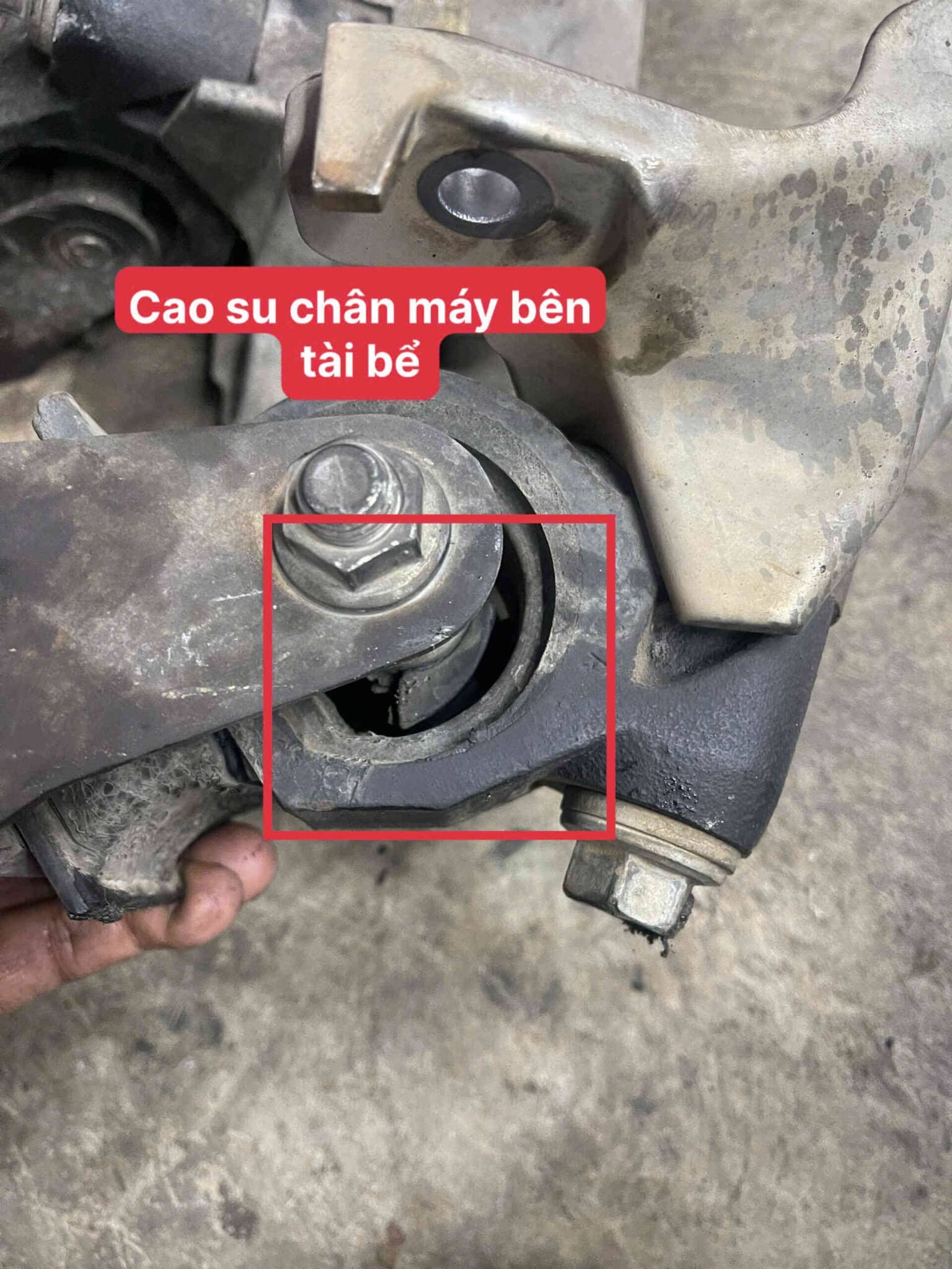 Vì sao tiếng kêu khi qua ổ gà/gờ giảm tốc là tín hiệu không nên bỏ qua ? Vì sao tiếng kêu khi qua ổ gà/gờ giảm tốc là tín hiệu không nên bỏ qua ?
